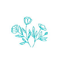 Flower Plant Sticker by Friseur Fontaine de Jouvence