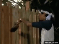 fence GIF