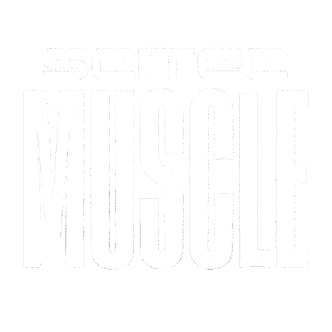 Beach Muscle Sticker by Scitec Nutrition