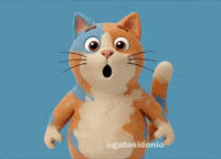 Cute Cat Wow GIF