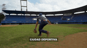 viceland GIF by VICE WORLD OF SPORTS