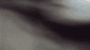 New York City Yes GIF by Hardly Art