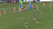Womens Rugby League Nrl GIF by Canberra Raiders