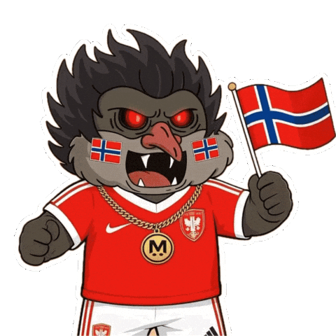 World Cup Football Sticker