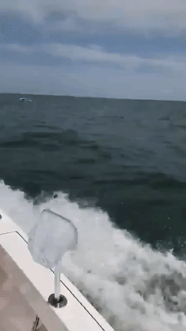 Off-Duty Policeman Rescues Three Men Whose Boat Capsized at Sea Near Jacksonville