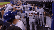 Regular Season Sport GIF by MLB