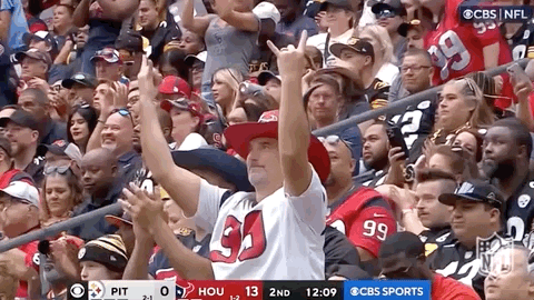 National Football League GIF by NFL