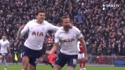 GIF by Tottenham Hotspur