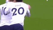 london football GIF by Tottenham Hotspur