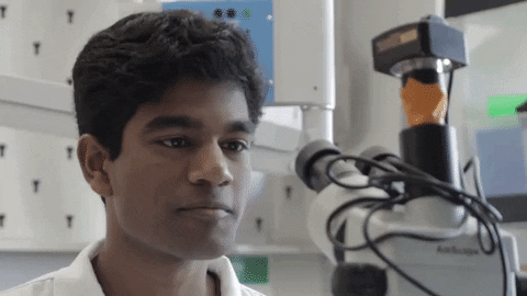 TAMUScience giphyupload science lab research GIF