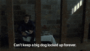 Big Dog Twd GIF by The Walking Dead