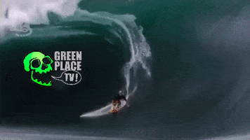 Kelly Slater Indonesia GIF by Greenplace TV