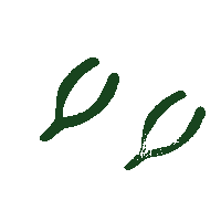 Morgan Wallen Love Sticker by Megan Moroney