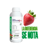 Bionutra Sticker by PNMInternational