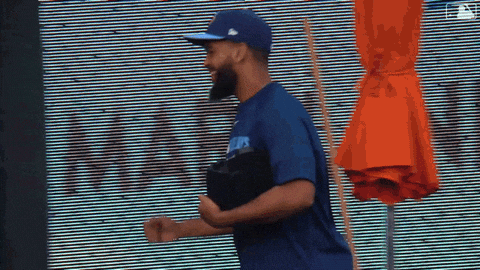 Blue Jays Smile GIF by Toronto Blue Jays