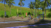 Challenge Competition GIF by Survivor CBS