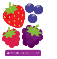 Fruit Heal Sticker by Medical Medium