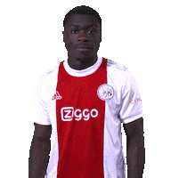 Brian Ziggo Sticker by AFC Ajax