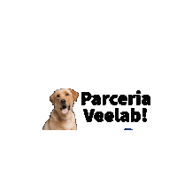 Dog Vet Sticker by Veelabvet