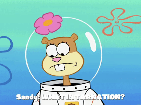 season 4 episode 20 GIF by SpongeBob SquarePants