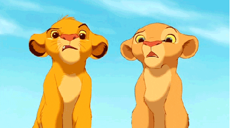 confused lion king GIF