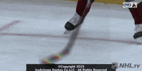 Ice Hockey Sport GIF by NHL
