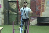Saif Ali Khan Sak GIF