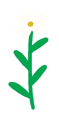 liviafalcaru nature flower flowers plant Sticker