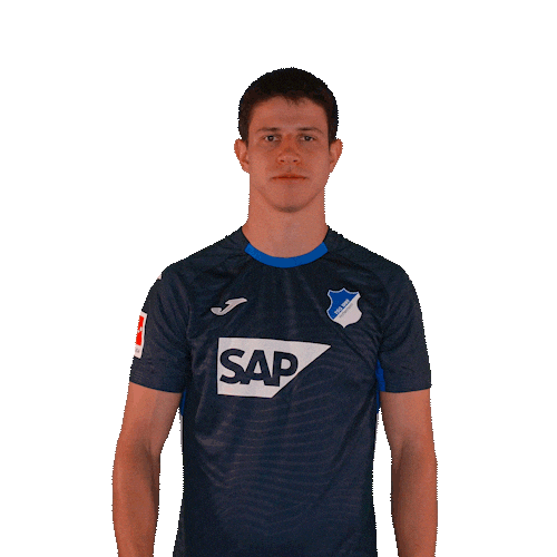 Sport Bundesliga Sticker by TSG Hoffenheim