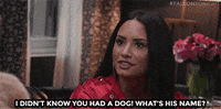demi lovato puppy GIF by The Tonight Show Starring Jimmy Fallon