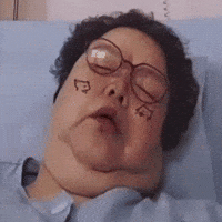 디시 GIF