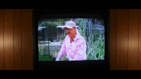 patcassidy giphygifmaker GIF