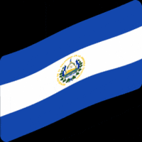 El Salvador Bandera GIF by Común