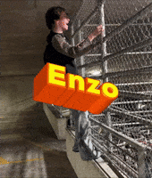 Stanley Enzo GIF