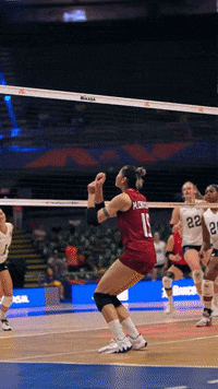 Sport Wow GIF by Volleyball World