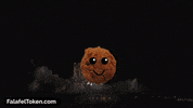FalafelToken crypto moon bitcoin cryptocurrency GIF