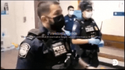 veebsvcr discovery contraband seized at the border GIF