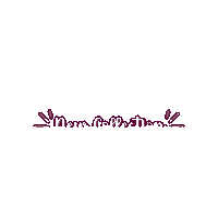 New Collection Sticker by The Sparkling Sugar Studio