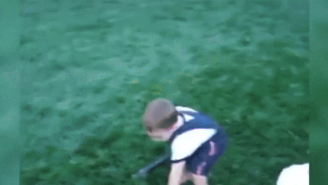 davyandrews giphyupload GIF