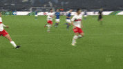 Football Wow GIF by FC Schalke 04