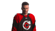 Hockey Echl Sticker by Cincinnati Cyclones