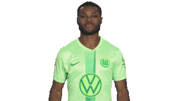 Germany Win Sticker by VfL Wolfsburg