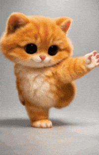 Dance Cat GIF