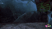 Jurassic Park GIF by Vidiots