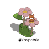 Cat Sticker by KBSPETS