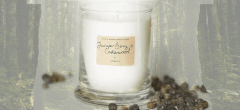 AEQUILL giphyupload GIF