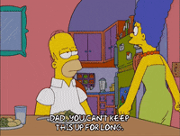 homer simpson GIF