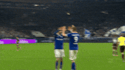 Football Hug GIF by FC Schalke 04