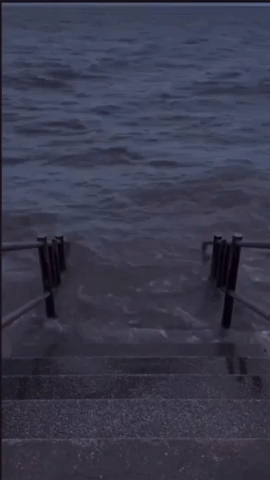 freefireshitpostings giphycreatortest GIF