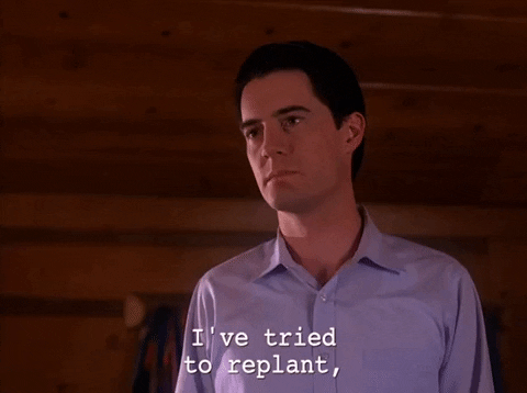 season 2 episode 21 GIF by Twin Peaks on Showtime